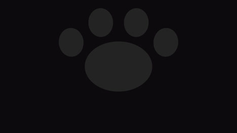 Popup-paw-Transitions.-1080p---30-fps---Alpha-Channel-(2)
